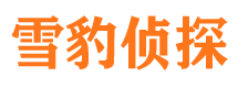 修水外遇出轨调查取证